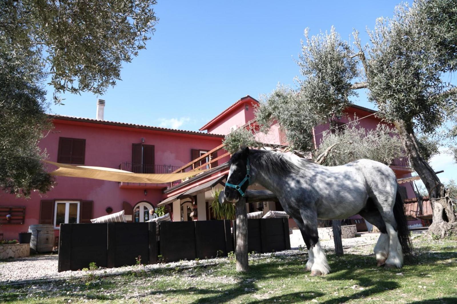 La Masseriola Agriturismo Villa Caianello Vecchio Exterior foto