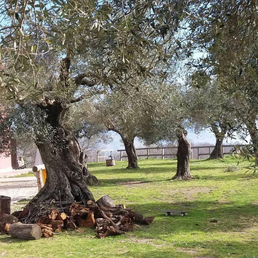 La Masseriola Agriturismo Villa Caianello Vecchio Exterior foto